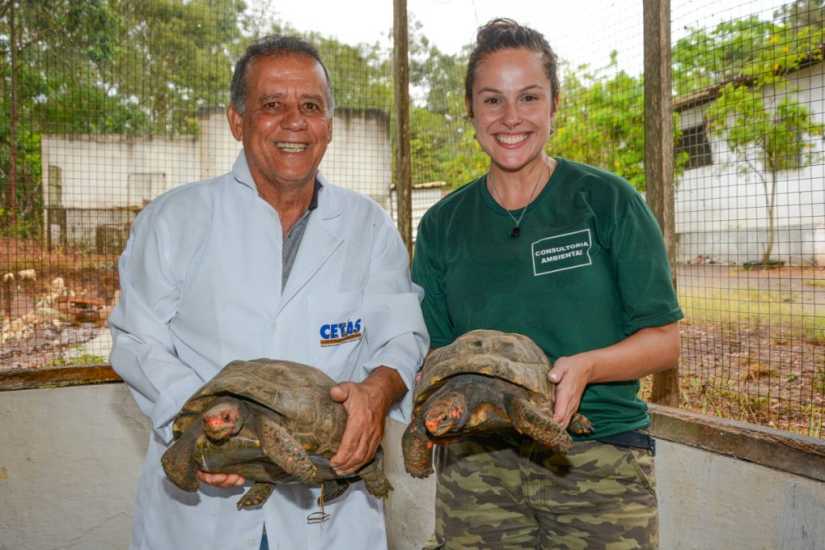 Centro De Triagem De Animais Silvestres De Vit Ria Da Conquista Recebe